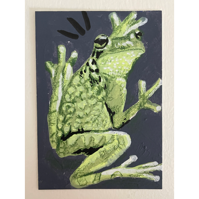 North American Tree Hugger - Frog ACEO by Norah Mae aceo art card thumbnail 1