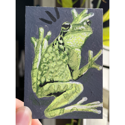 North American Tree Hugger - Frog ACEO by Norah Mae aceo art card thumbnail 2