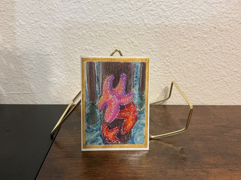 Starfish, Revealed! aceo art card