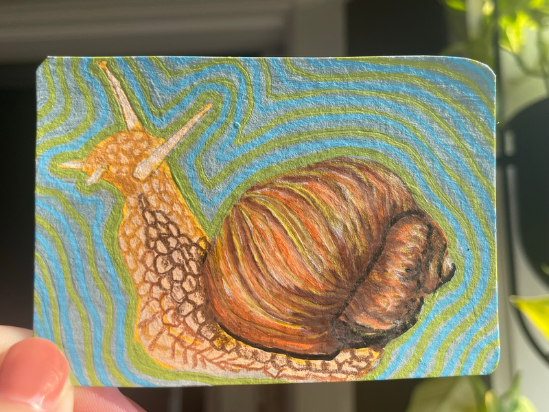 Snail trail - original ACEO by Norah Mae aceo art card