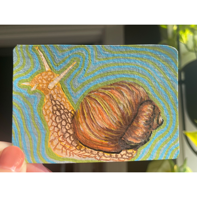 Snail trail - original ACEO by Norah Mae aceo art card thumbnail 1