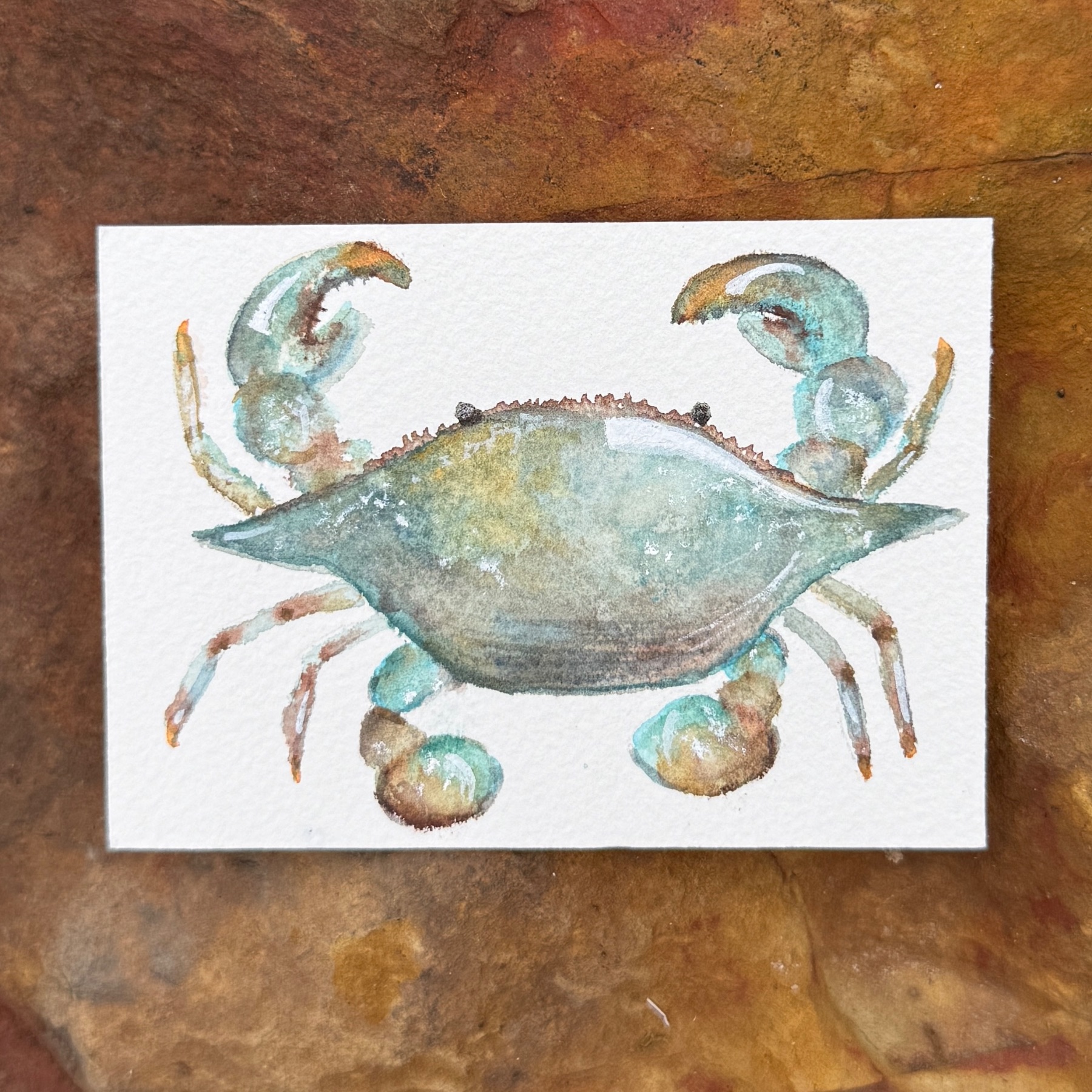 Blue Crab aceo art card