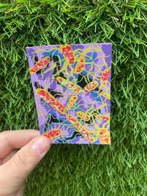 Salmonella enterica aceo art card