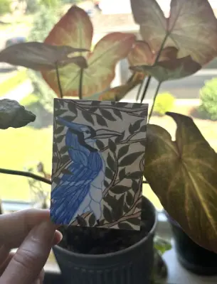 ACEO & Sticker 4-Pack: Spring Essentials Set {Daffodils, Spring Cabin, Bluejay, Orange/Blue Florals} aceo art card thumbnail 3
