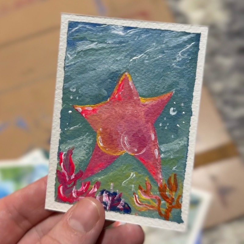 Starfish BBL aceo art card
