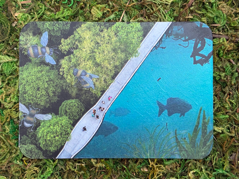 Big Fish - ACEO #6 aceo art card