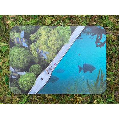 Big Fish - ACEO #6 aceo art card thumbnail 1