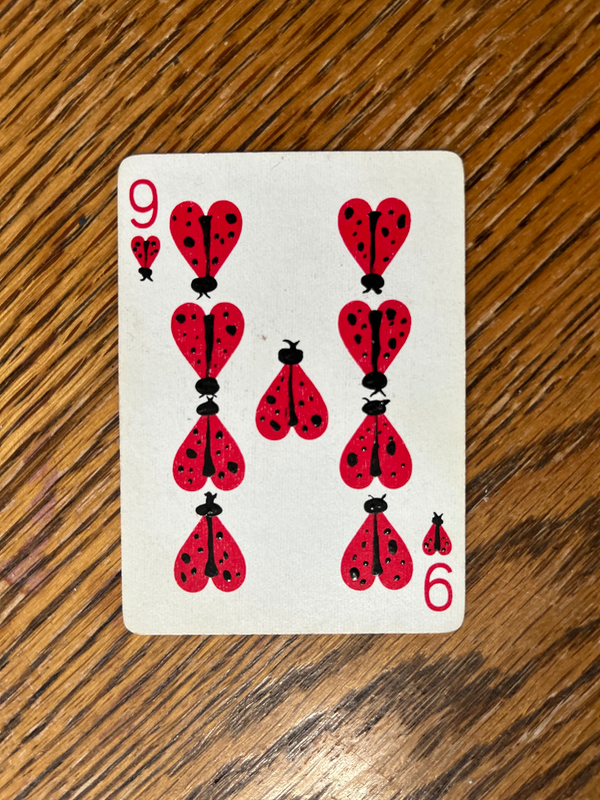 Lucky Ladies 🐞 aceo art card