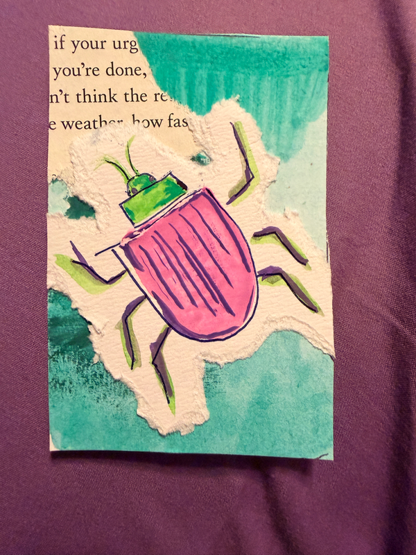 Pink Beetle aceo art card