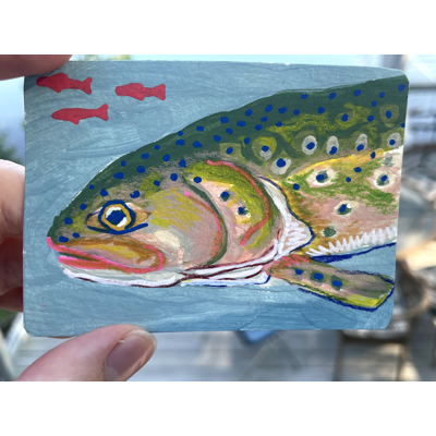 "Fly so serious?" Rainbow Trout aceo art card thumbnail 2