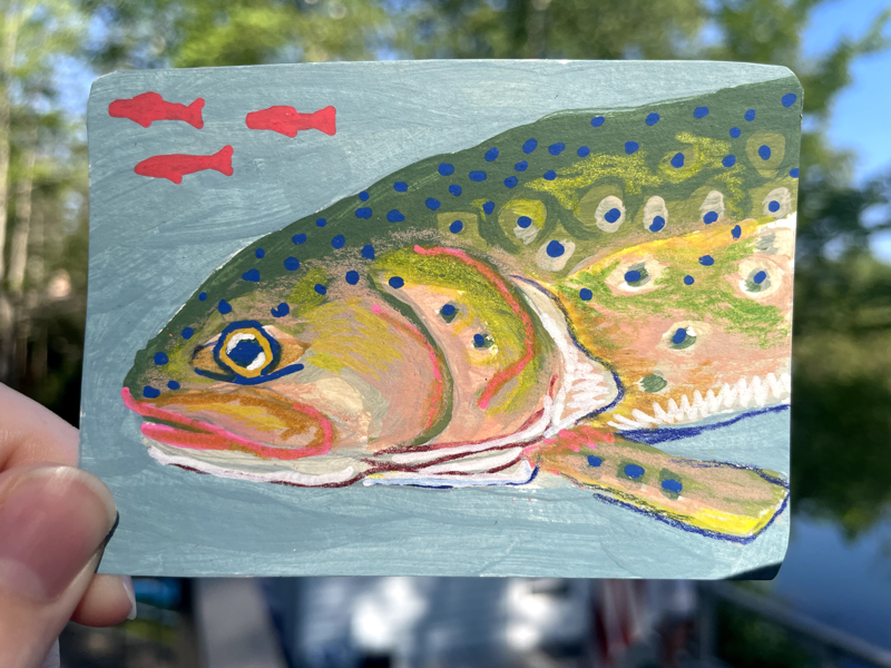 "Fly so serious?" Rainbow Trout aceo art card