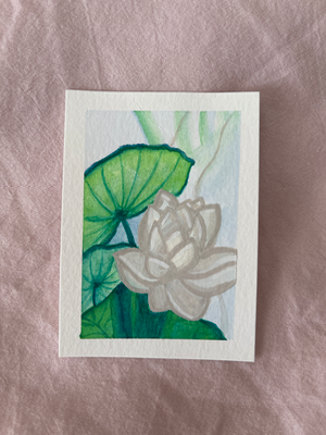 white lotus aceo art card thumbnail 1