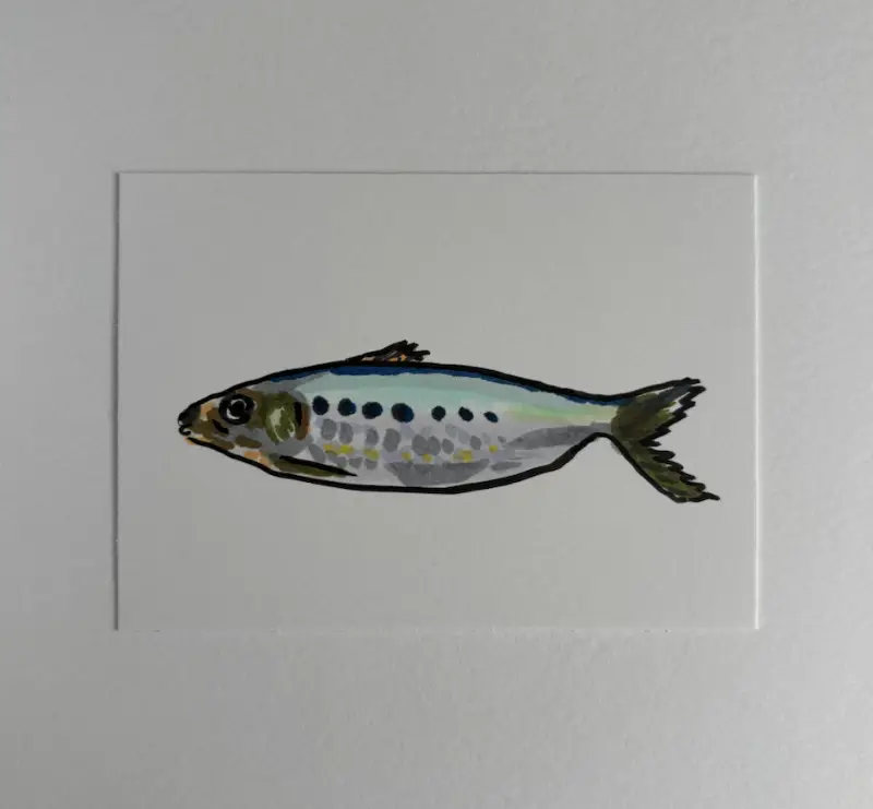 Alive Sardine aceo art card