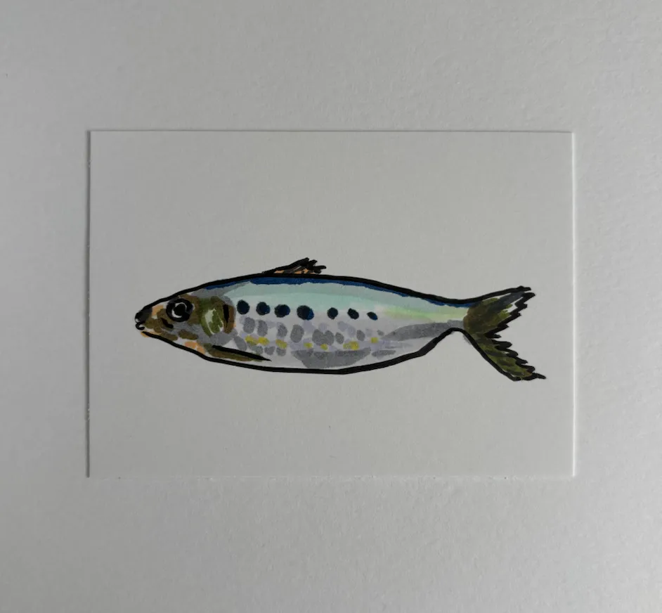 Alive Sardine aceo art card