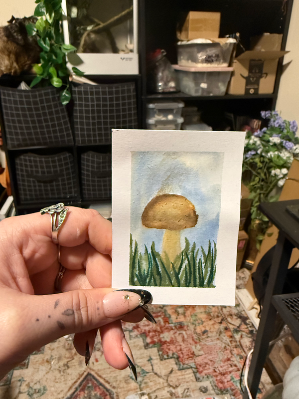 Toad stool aceo art card