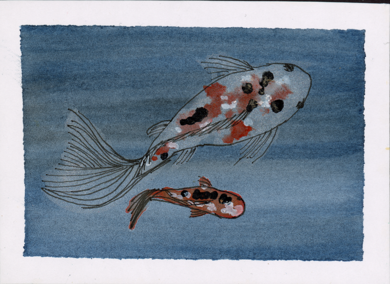 Koi Series One, No. One aceo art card