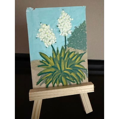 Yucca (damaged) ACEO aceo art card thumbnail 1