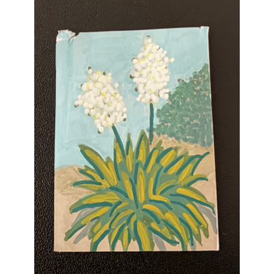 Yucca (damaged) ACEO aceo art card thumbnail 2