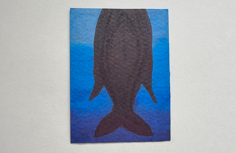 Big Fish, Little Fins aceo art card