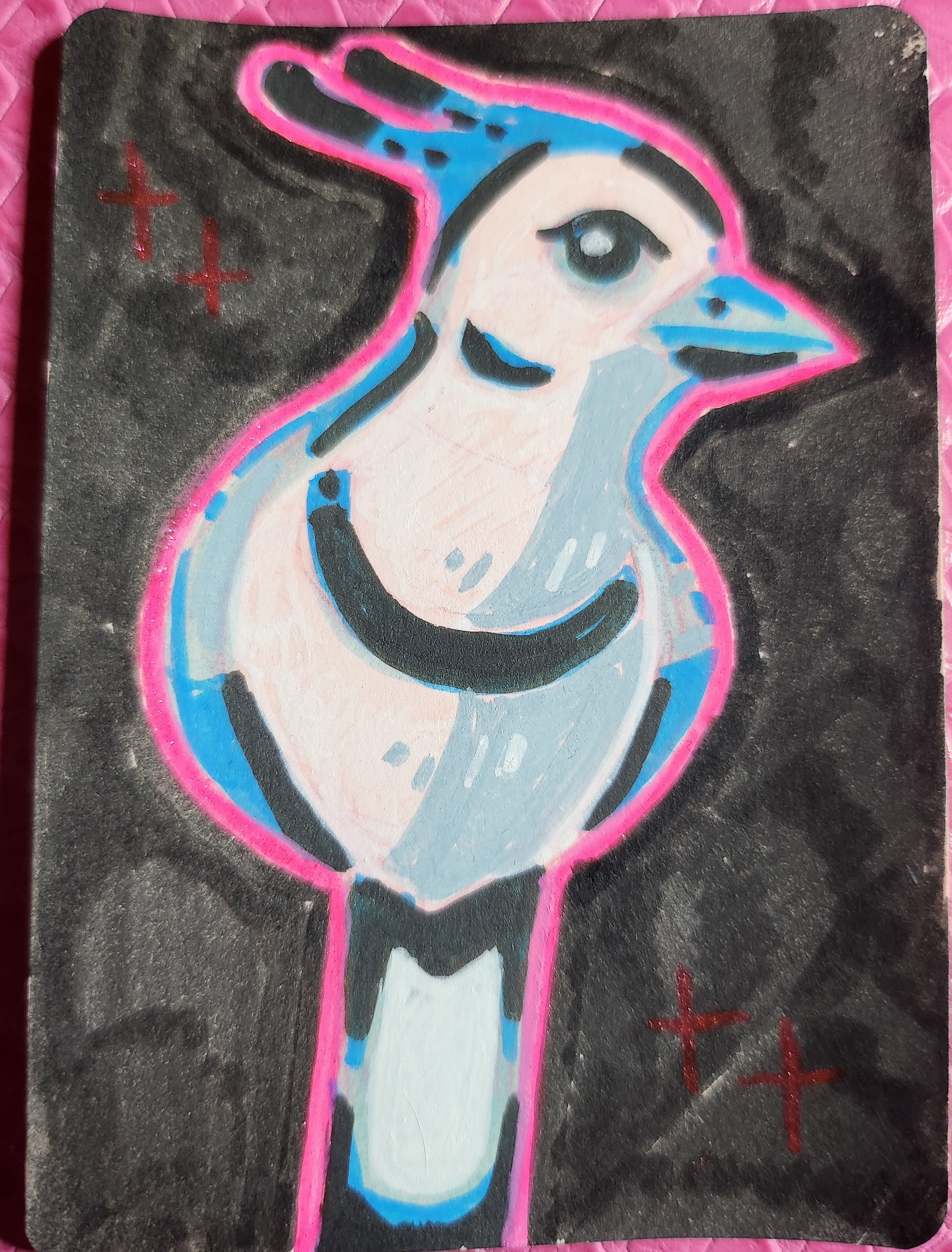 white throated magpie jay aceo art card