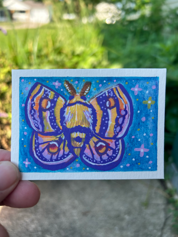 Pretty Moth aceo art card