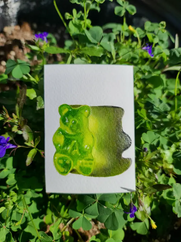Gummy Bear Study #3 aceo art card