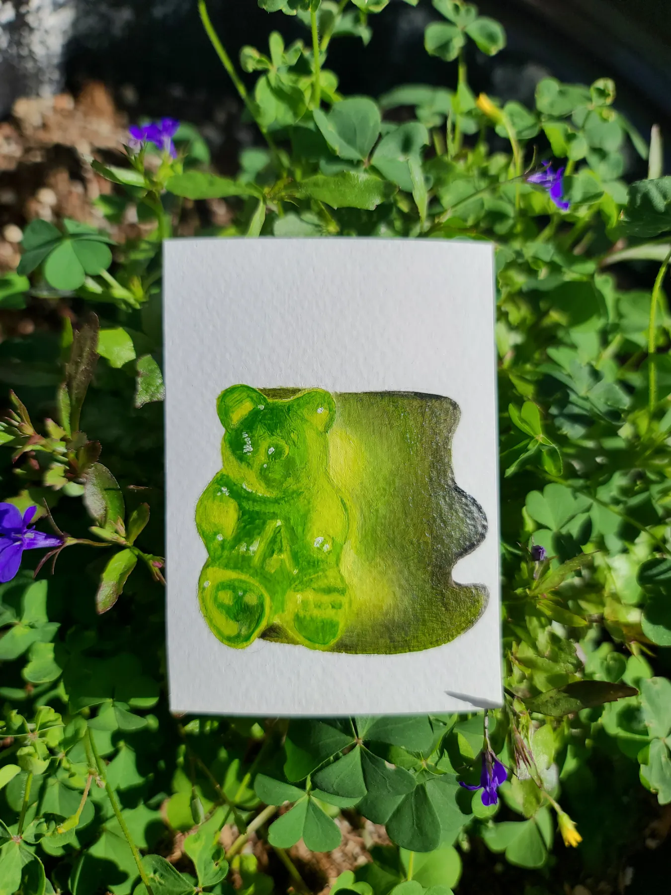 Gummy Bear Study #3 aceo art card