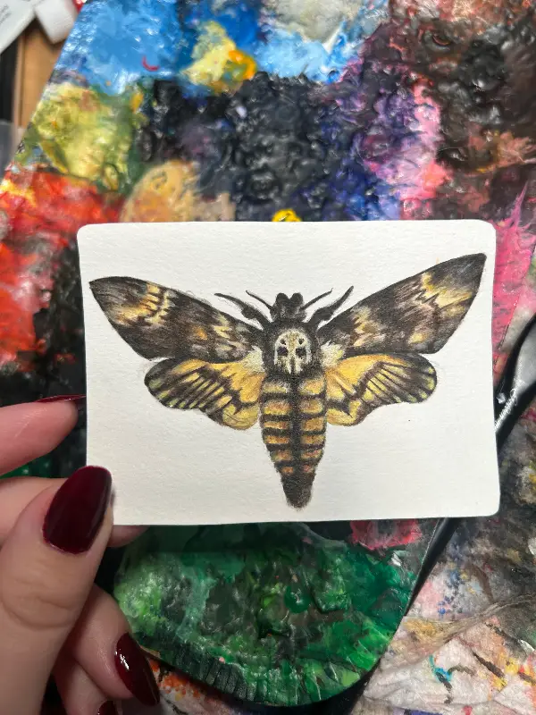 Death's-Head Moth aceo art card