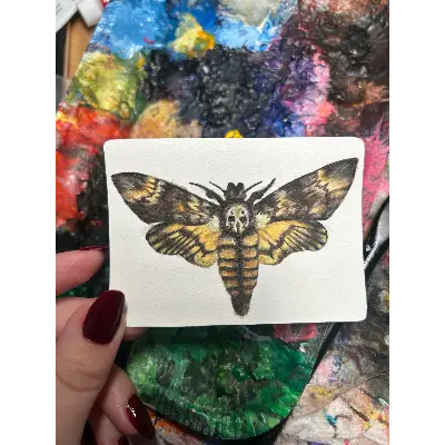 Death's-Head Moth aceo art card thumbnail 1