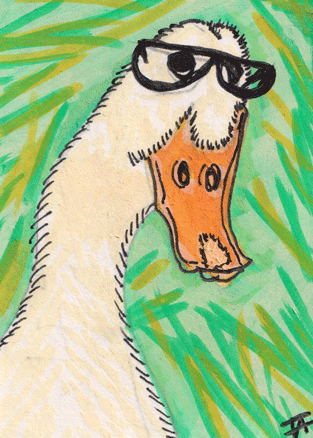 Hamish The Duck aceo art card