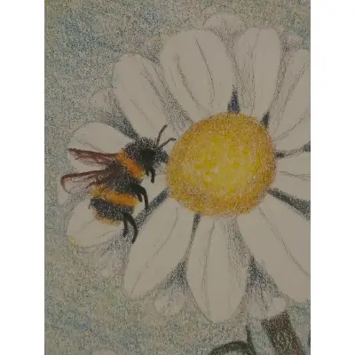 Bee n' daisy aceo art card thumbnail 2