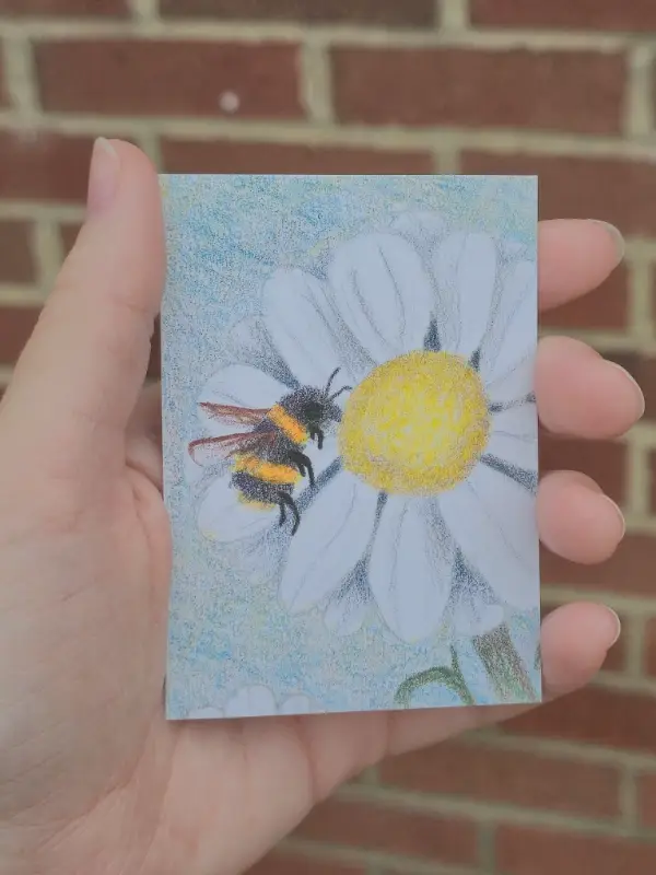 Bee n' daisy aceo art card