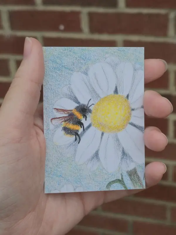 Bee n' daisy aceo art card