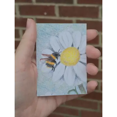 Bee n' daisy aceo art card thumbnail 1
