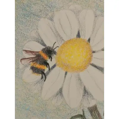 Bee n' daisy aceo art card thumbnail 2