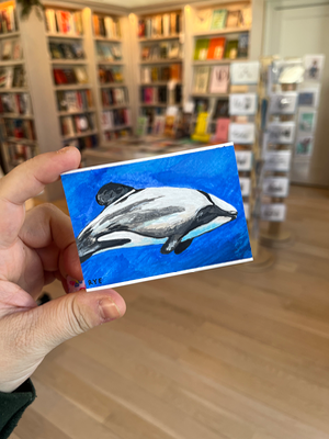 Hector’s Dolphin aceo art card thumbnail 1