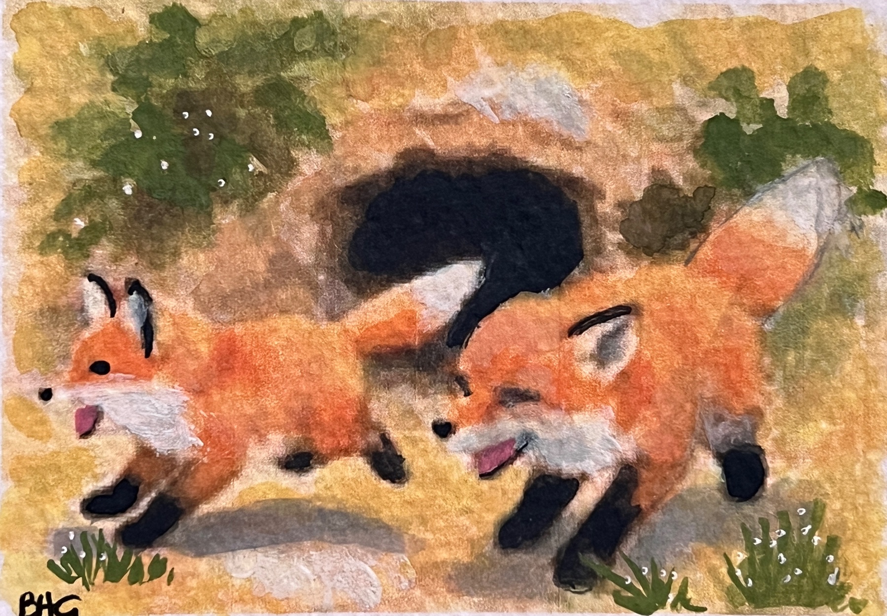 Foxes - Let’s Run aceo art card