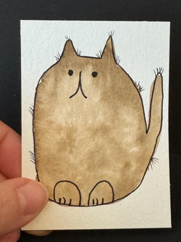 Douglas — Watercolor & Ink (ACEO) aceo art card