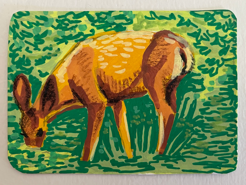 “Nose deep” Deer Portrait by Norah Mae aceo art card