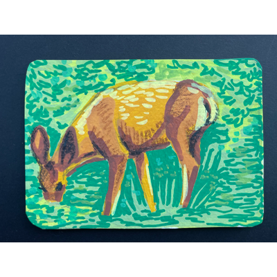 “Nose deep” Deer Portrait by Norah Mae aceo art card thumbnail 4
