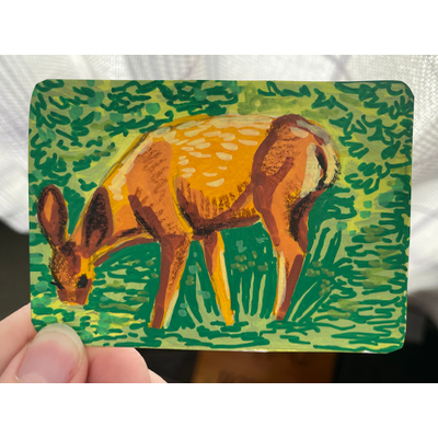 “Nose deep” Deer Portrait by Norah Mae aceo art card thumbnail 2