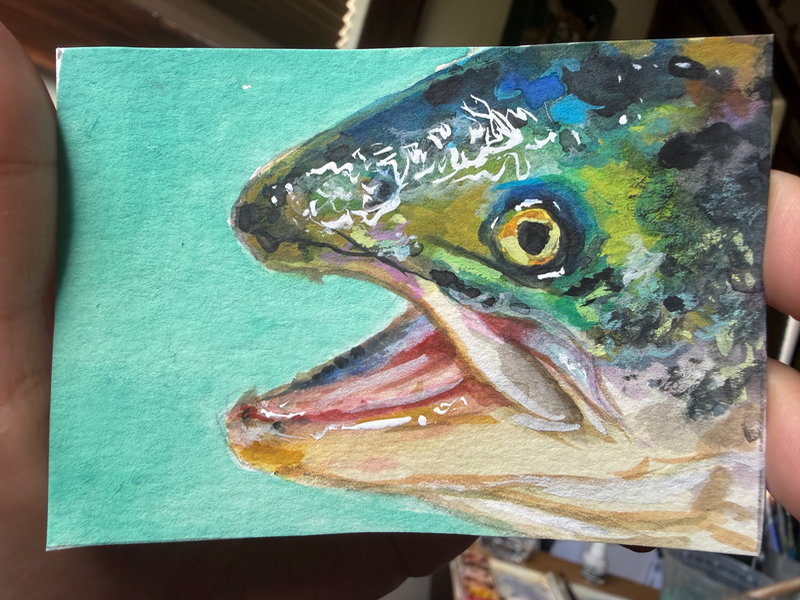 Watercolor- Trout Fishy aceo art card