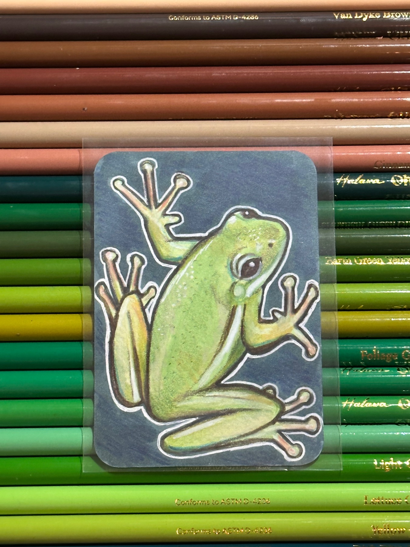 Green Frog aceo art card