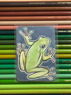 Green Frog aceo art card thumbnail 1