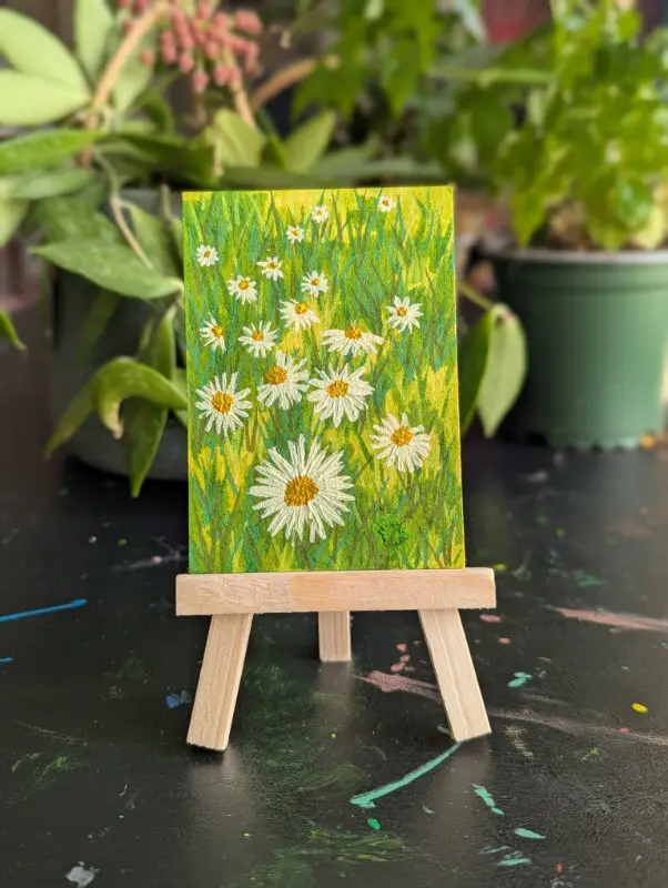 Yard Daisies aceo art card