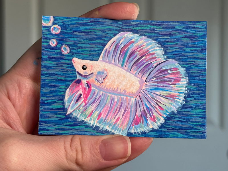 Bubble blowing beta fish aceo art card