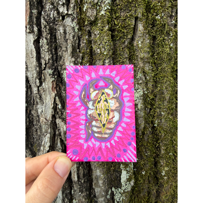 Cicada exuviae, Summer in Louisiana, New Beginnings aceo art card thumbnail 1