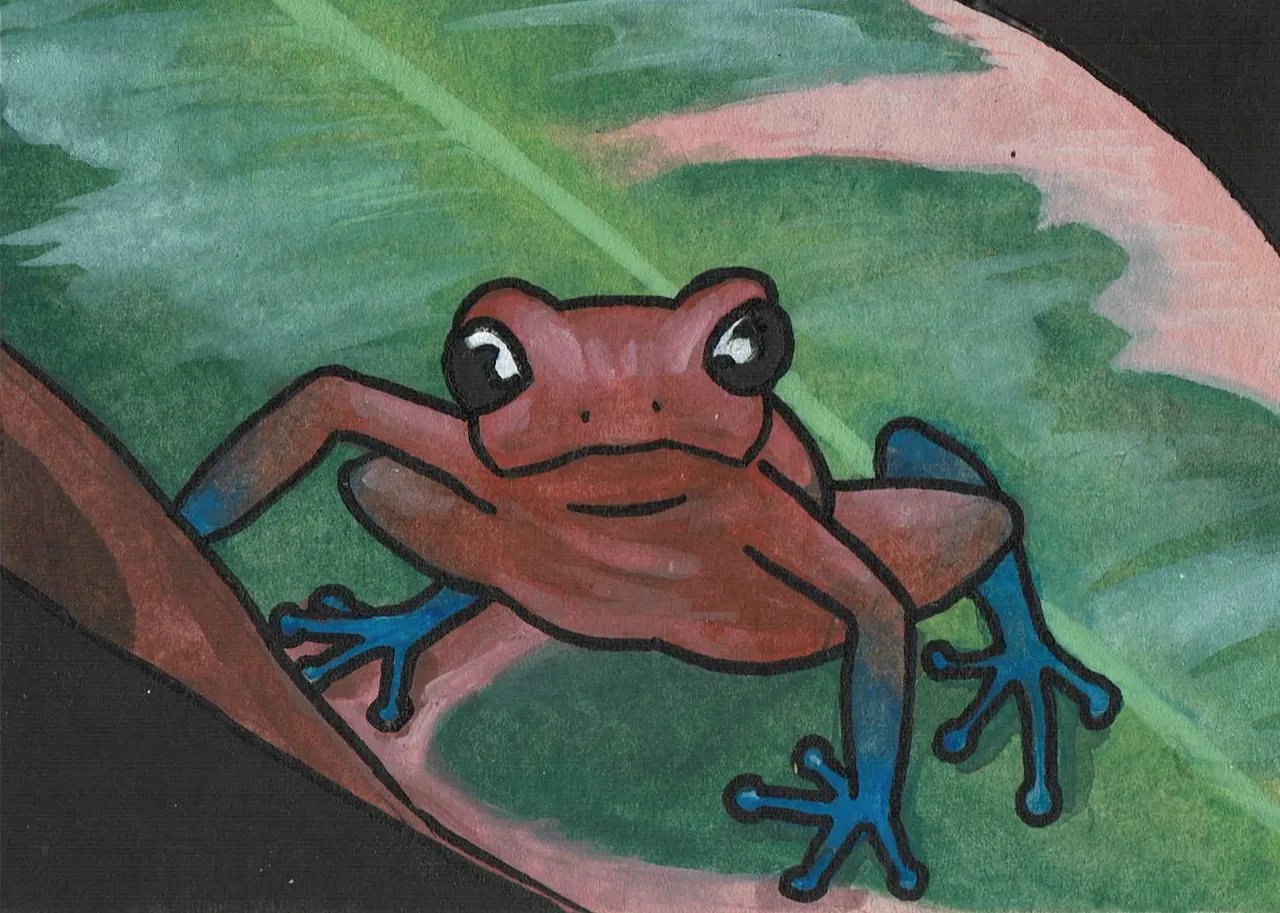 Dart Frog Time aceo art card
