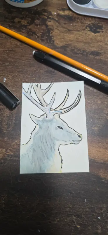 Lord of the North aceo art card
