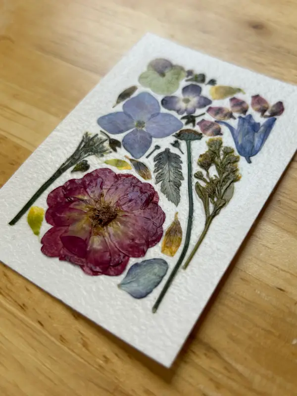 Pressed Flowers #13 (Floral Series) aceo art card